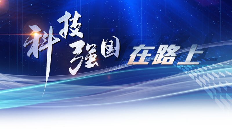 上海数字化解决方案：构建未来企业的基石**